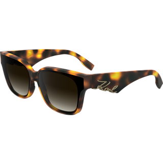 Karl Lagerfeld Kvinde KL6161S 240 Solbriller Acetat Havana Brun Firkantet Normal Skygge