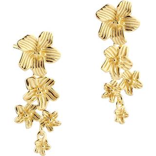 JASMIN BIG EARSTUD | GOLDEN