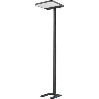 Luxo Adapt 1DS (1 Desk side), sort, 4000 Kelvin