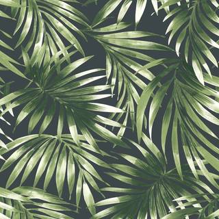 Superfresco Easy Wallpaper Elegant Leaves 106413