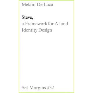 Steve: A Framework for AI and Identity Design