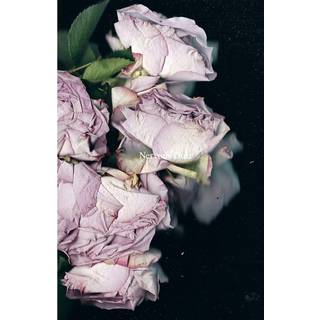 Martin Maeller: Nervous Dust