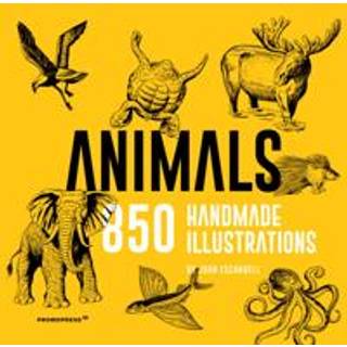 Animals: 850 Handmade Illustrations