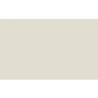 Ceviche™ - Intelligent Matt Emulsion - 10 L