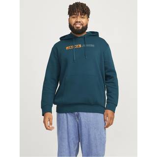 Plus Size Logo Hættetrøje