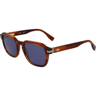 Lacoste Mand Lacoste 210 Solbriller Acetat Brun Firkantet Normal