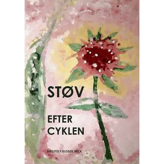 STØV EFTER CYKLEN