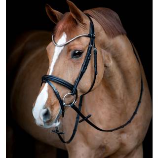 Catago Brooklyn Trense - COB