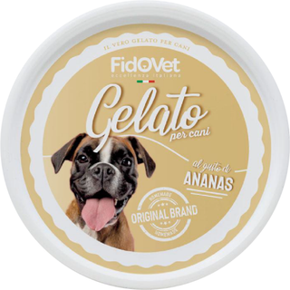 Gelato Hundeis Ananas - 40 g