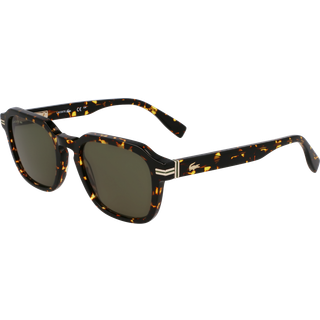 Lacoste Mand L6046S 230 Solbriller Acetat Havana Firkantet Normal