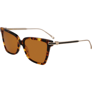 Ferragamo Kvinde SF2036S 242 Solbriller Acetat Havana Sommerfugl Normal
