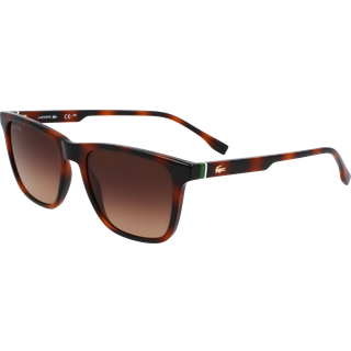 Lacoste Mand L6041S 214 Solbriller Bio-injekt Havana Firkantet Normal Skygge