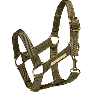 Cheval Roi grime til kæphest - Sage Green