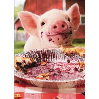 Party Pig Pie Plate - Avanti f?dselsdagskort