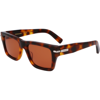 Ferragamo Mand SF2033S 240 Solbriller Acetat Havana Firkantet Normal