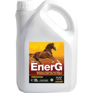 NAF EnerG, 2L