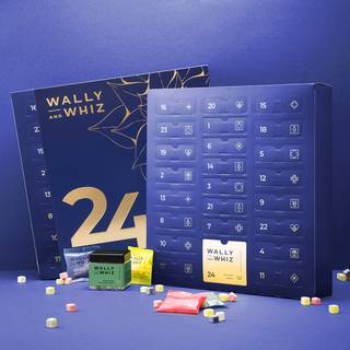 Wally and Whiz - Julekalender 2025