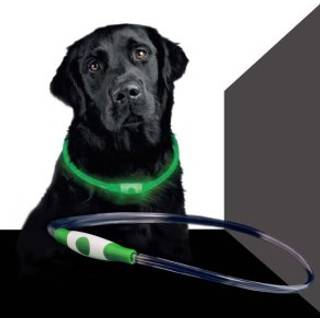 Bee-Safe LED Halsbånd til Hund - Grøn