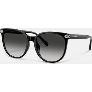 Coach HC8414BD CW428 Asian Fit 50023C 57 Solbriller Kvinder Black - Black - 57mm