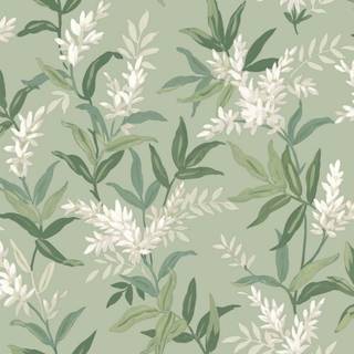 Albany Wallpaper Olivia 5907