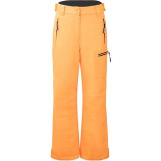 Trollkids Kid's Hallingdal Pant Skibukser Børn størrelse 110 farve orange