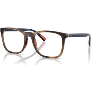 Polo Ralph Lauren Mand PH2281U 6070 Optiske stel Injiceret Skildpadde Transparent Firkantet Normal