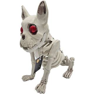 Halloween dyreskelet 23 cm - Hund eller kat - assorteret