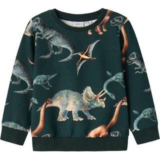 Name It Pine Grove Dino Sweatshirt