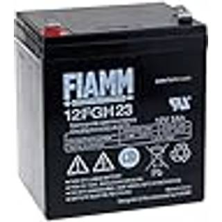 FIAMM BlyBatteri 12FGH23 (High Rate)