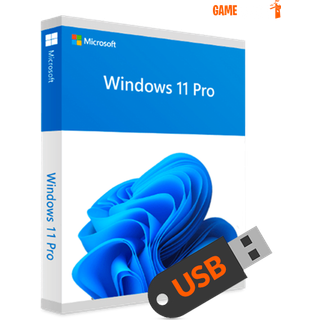Windows 11 Professional USB uden licens