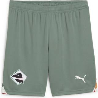 Men&#39;s Puma Palermo F.C. 24/25 Third Shorts, Green, Size XL, Sport - Eucalyptus - XL