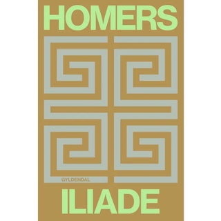 Homers Iliade