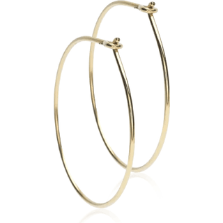 Gt Titanium Øreringe fra Blomdahl 15-1381-00