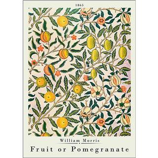 Fruit or pomegranate, W. M. - 50x70 cm