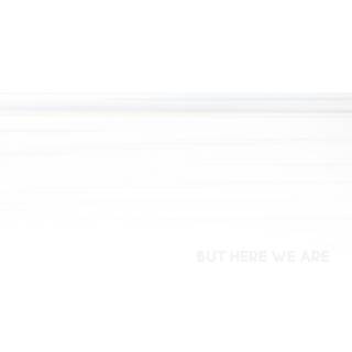 Foo Fighters - But Here We Are