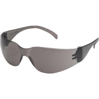 Brille Pyramex Intruder