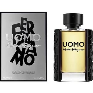 Ferragamo Uomo Uomo Eau de Toilette 100 ml