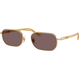 Sunglasses Persol PO1020S 1129/53