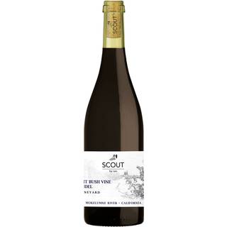Ancient Bush Vine Zinfandel 2023 Ling Estate Vineyard, Scout by Leo