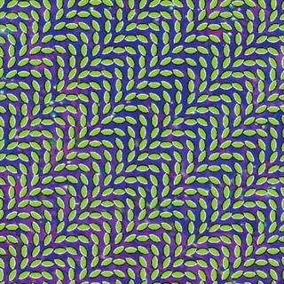 Animal Collective - Merriweather Post Pavillion