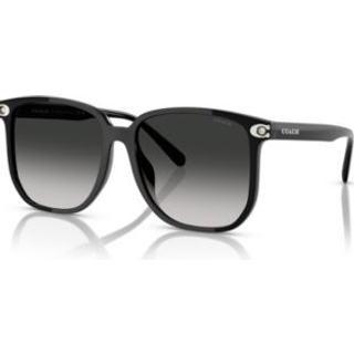 Coach HC8413BD CW419 Asian Fit 50023C 58 Solbriller Kvinder Black - Black - 58mm