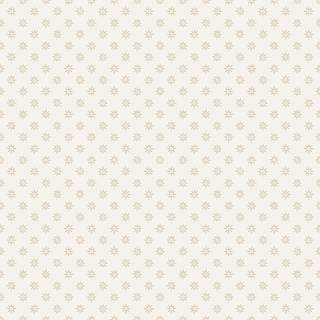 Skogsstjärna - Beige