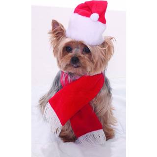 Santa Christmas Pet Costume En st?rrelse