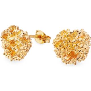 Flora Danica - Persille ørestikker i 22 karat guldbelagt sølv - par-stpc-g