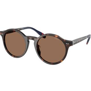 Polo Ralph Lauren PH4204U 567373 50 Solbriller Mænd Tortoiseshell - Shiny Dark Tortoise - 50mm