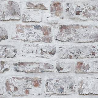 Arthouse Wallpaper Whitewashed Wall 671100
