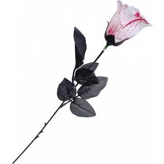 Blutige Weiße Rose
