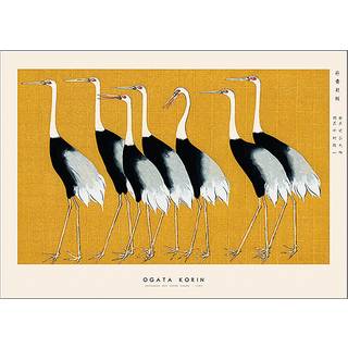 Japanese Red Crown Crane - 50x70 cm