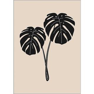 Plakat Monstera Deliciosa