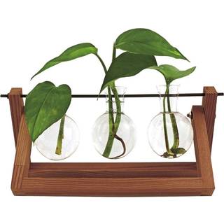 Winkee - Vase - Hydro Vases Blossom
